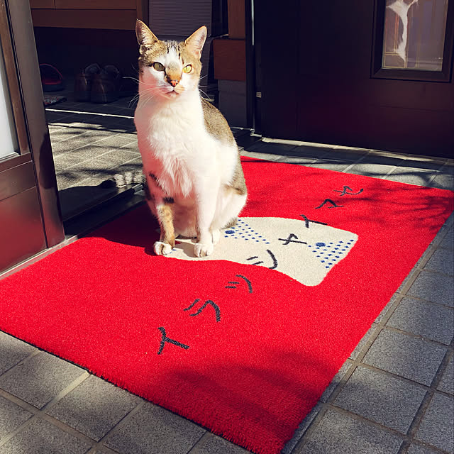haruminさんの実例写真