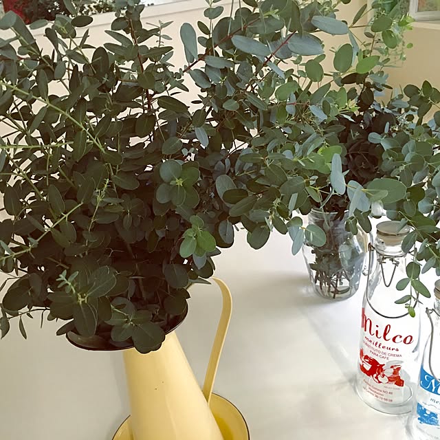 Mopmamaさんの実例写真