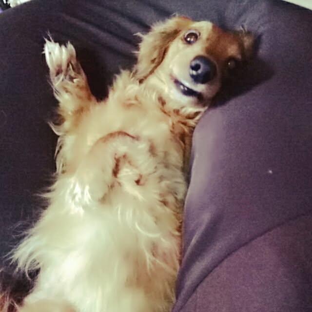 kotorinさんの実例写真