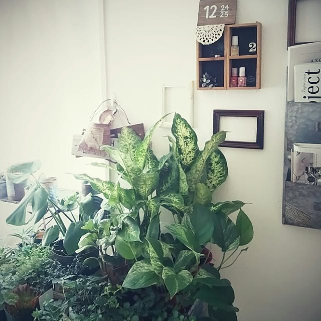 mai.tameさんの実例写真