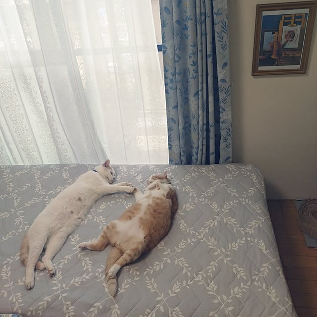 NOAHさんの部屋