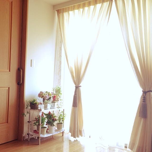 nachuraさんの実例写真