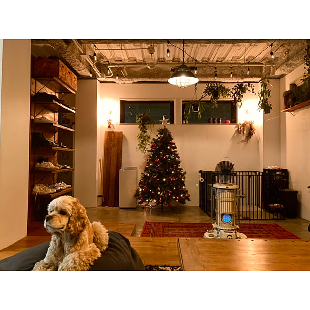 chairgreenさんの実例写真