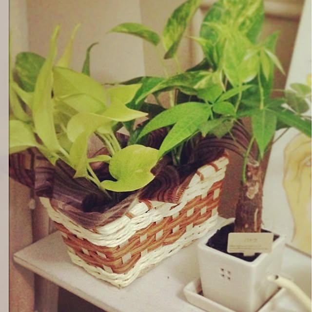 reichell01さんの実例写真