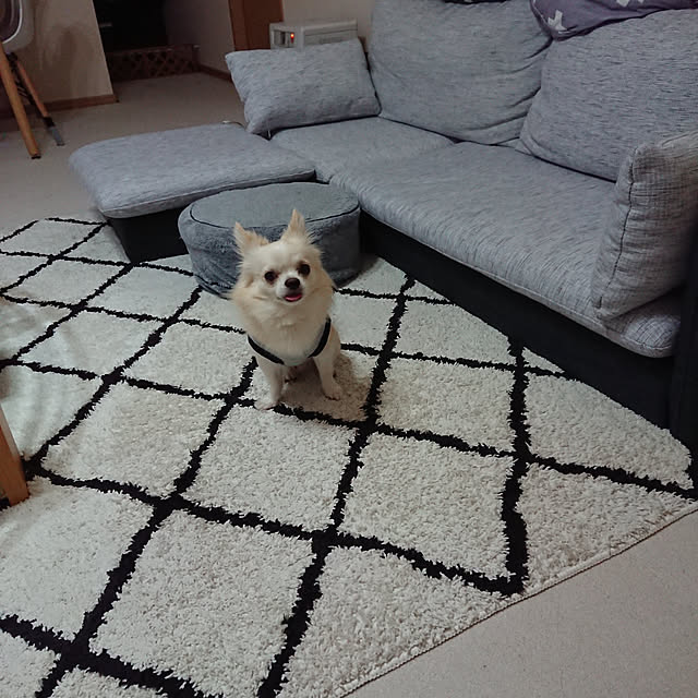 Akikoさんの実例写真