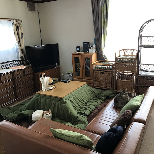 maruさんの実例写真
