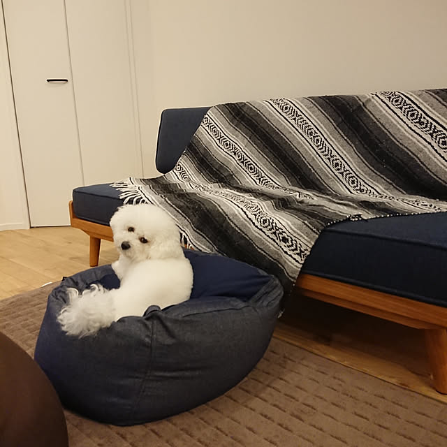 ankoさんの実例写真