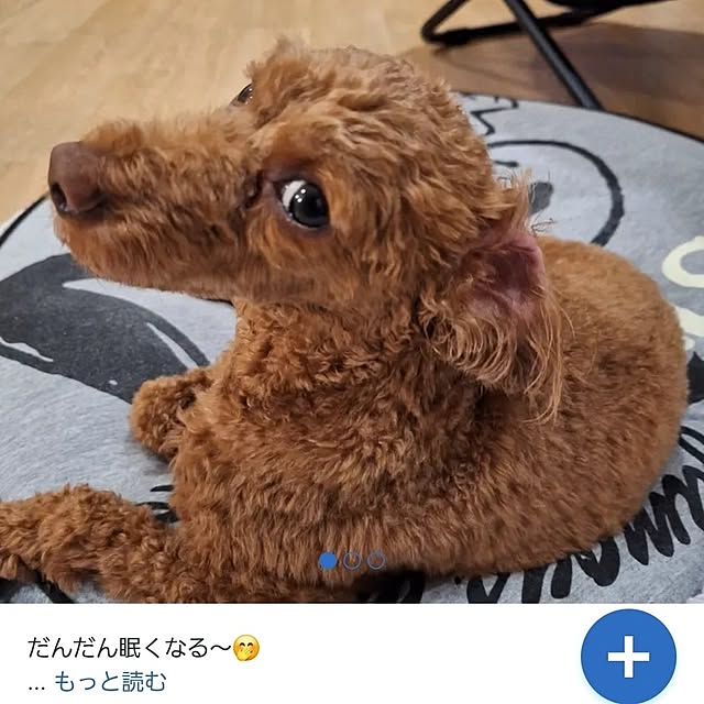 Blancheさんの実例写真