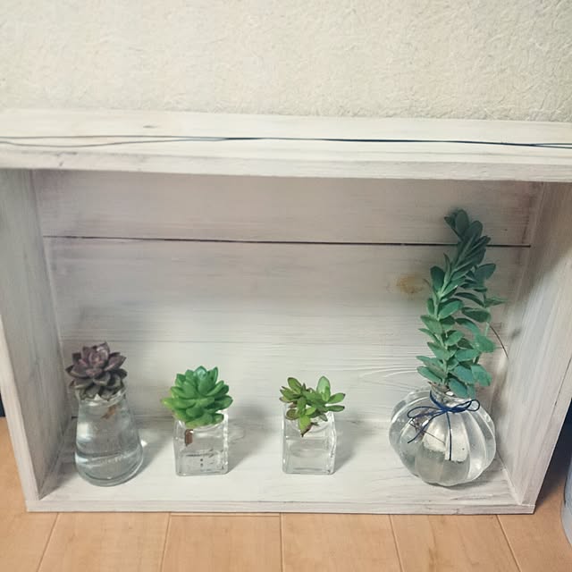 ripさんの実例写真