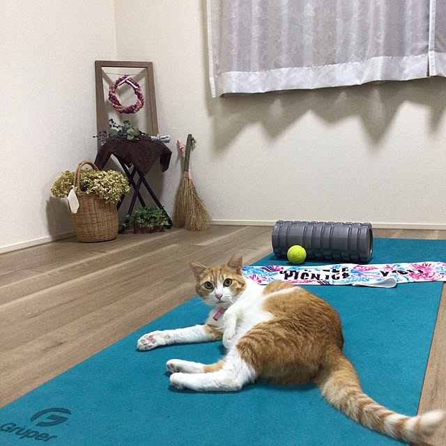 houenさんの実例写真