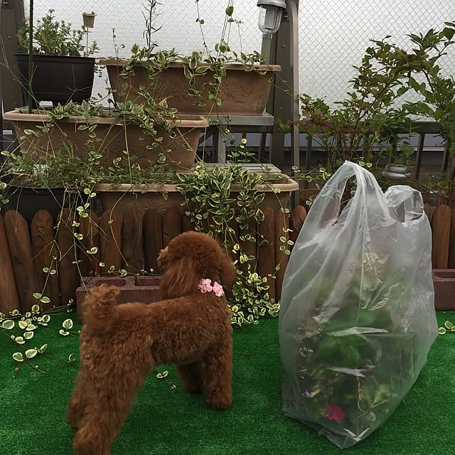 ISM.mumさんの実例写真