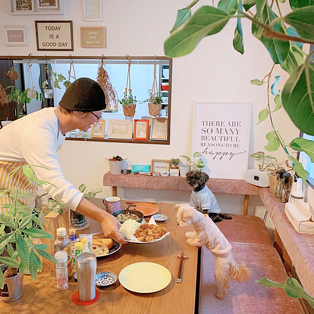 risaさんの実例写真