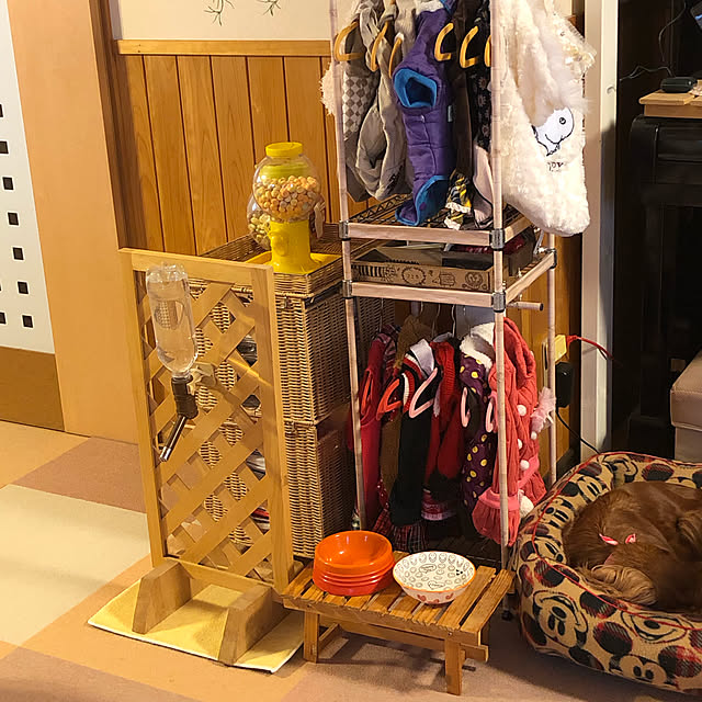 juncocoさんの実例写真