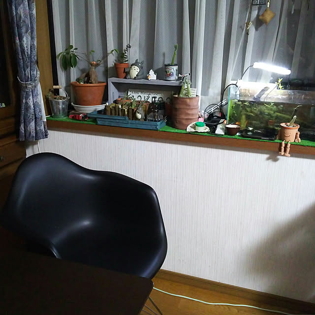 kazuさんの実例写真