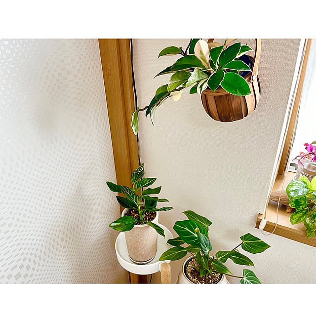 saahannさんの実例写真