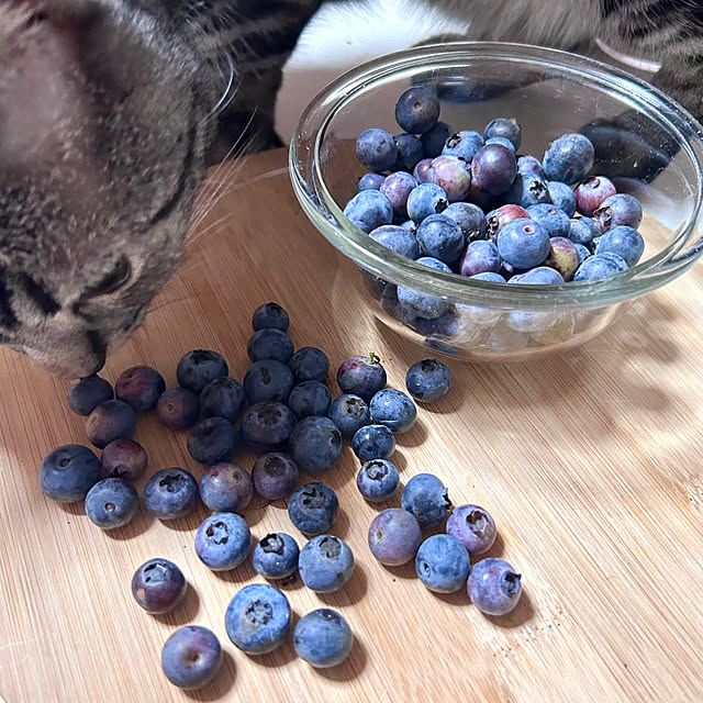 yumiさんの部屋