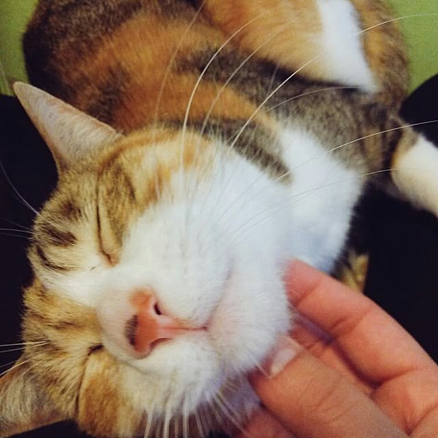 123sgnbさんの実例写真