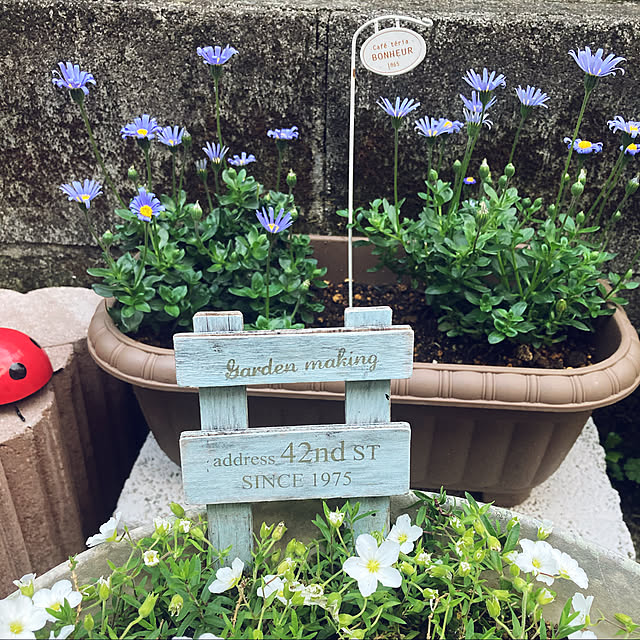 CoCo0617さんの実例写真