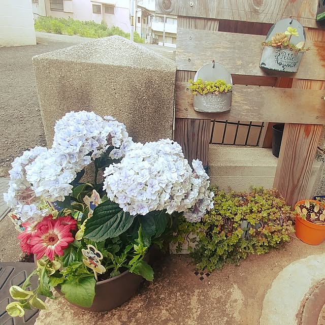 Eriさんの部屋