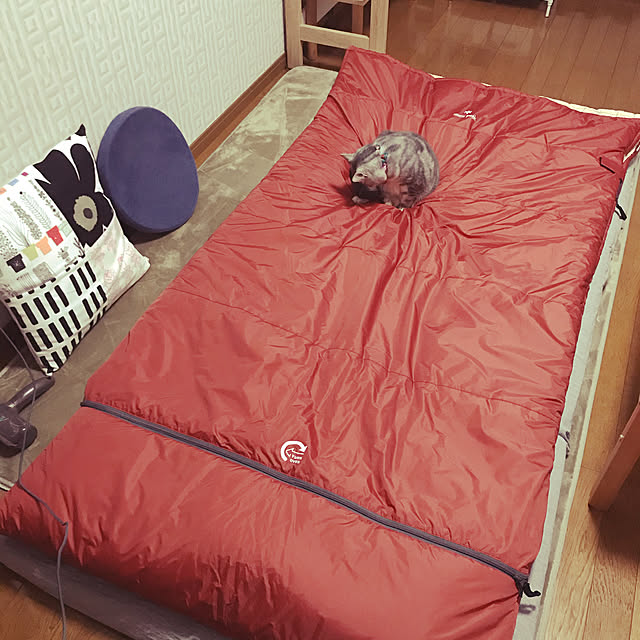 madelineさんの実例写真
