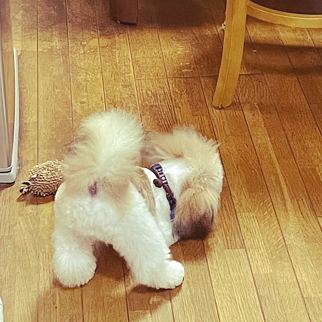 akiさんの実例写真