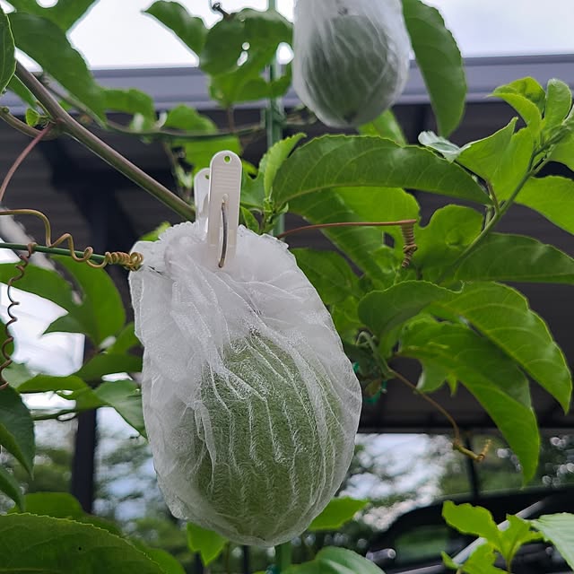Rubiconさんの実例写真