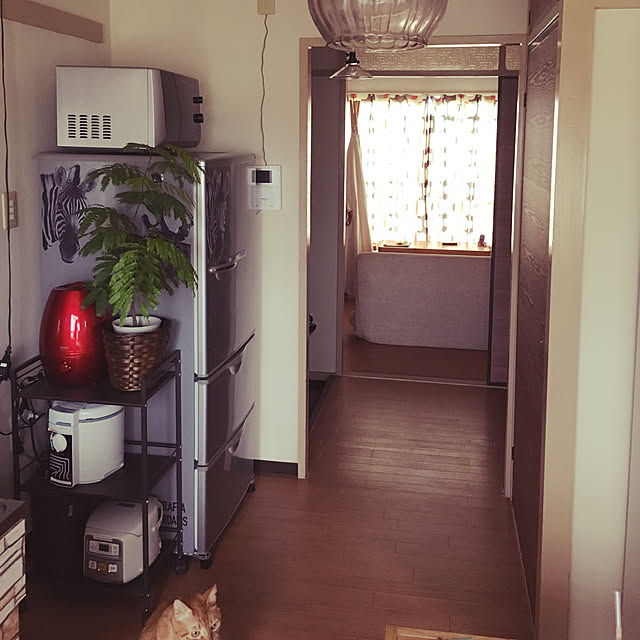 nonnokoさんの実例写真