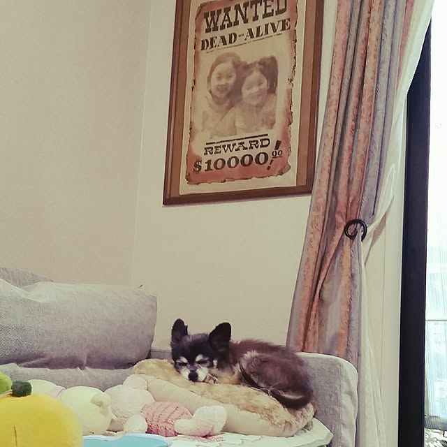 nia1213さんの実例写真