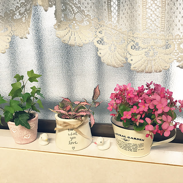 collonさんの実例写真
