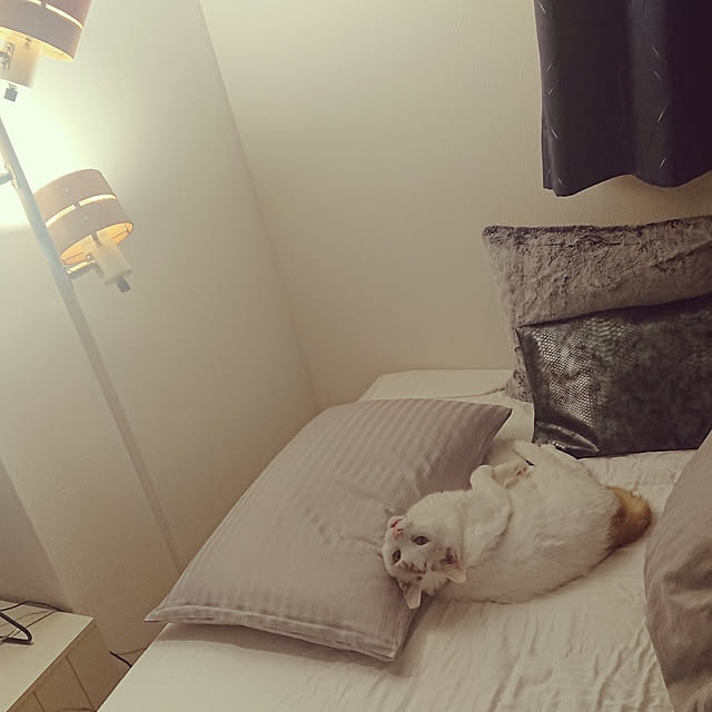szkさんの実例写真