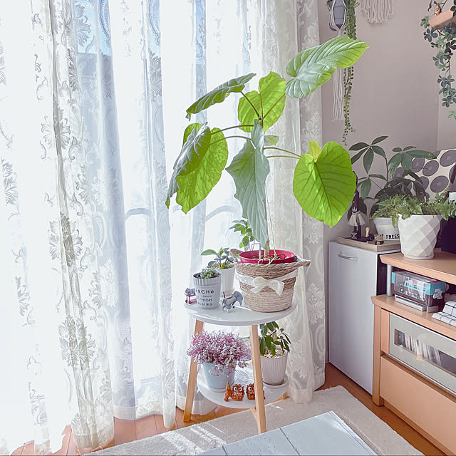 moolさんの部屋