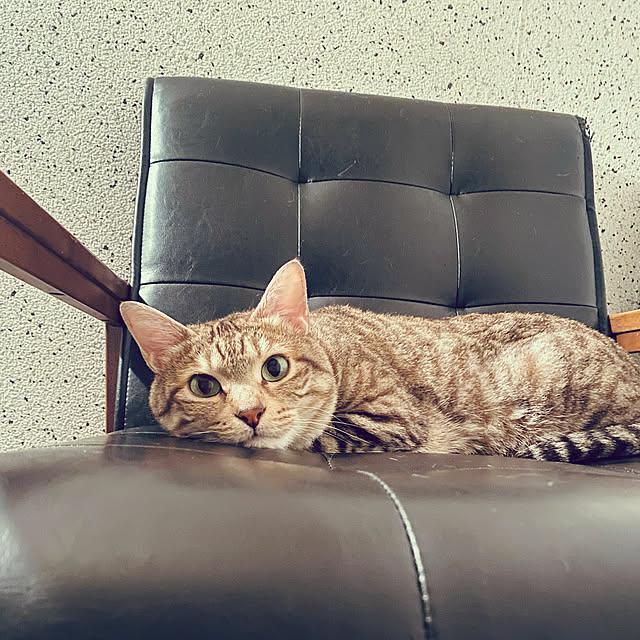 ERIKA1121さんの実例写真