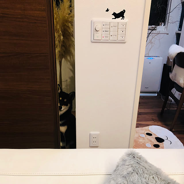 nuruiさんの実例写真