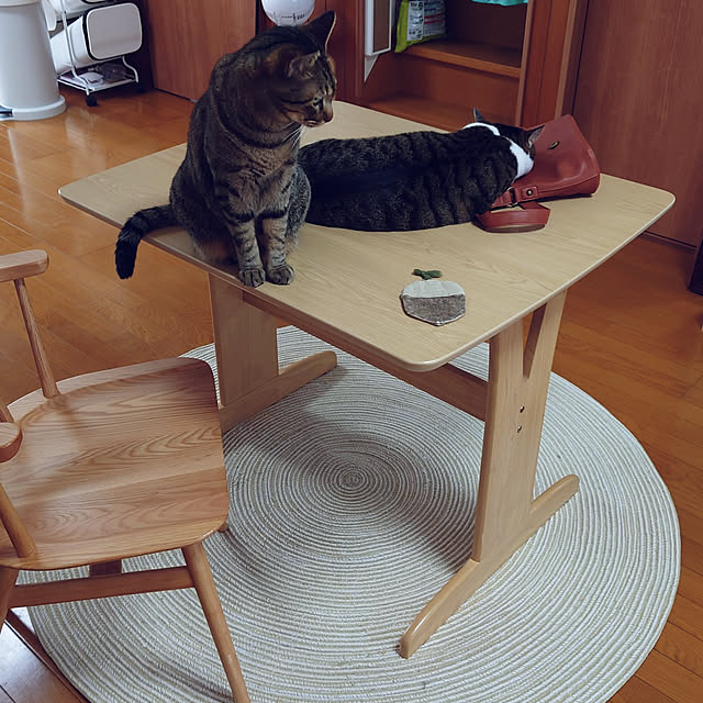 nachiさんの実例写真