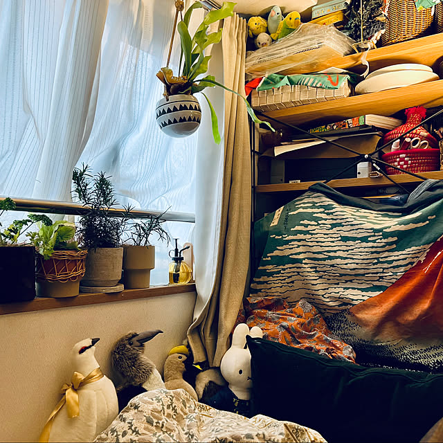 parrotさんの実例写真