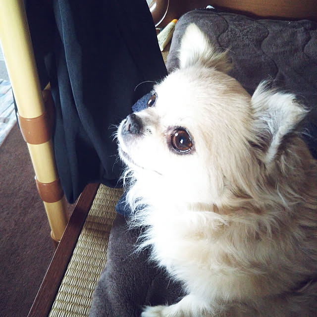 kiraさんの実例写真