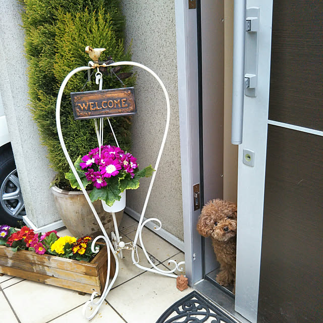 ribbonさんの実例写真