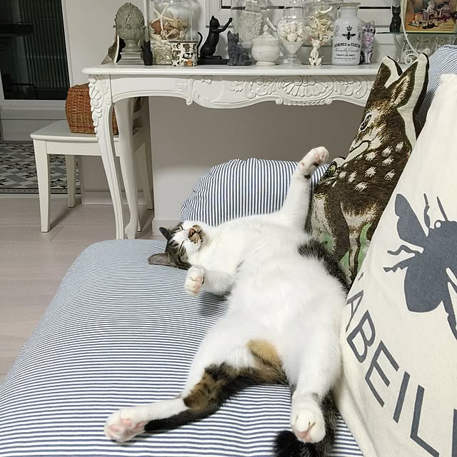 yuchiさんの実例写真