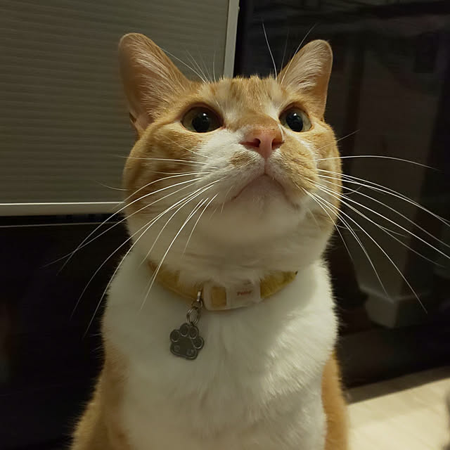 mihirouさんの実例写真