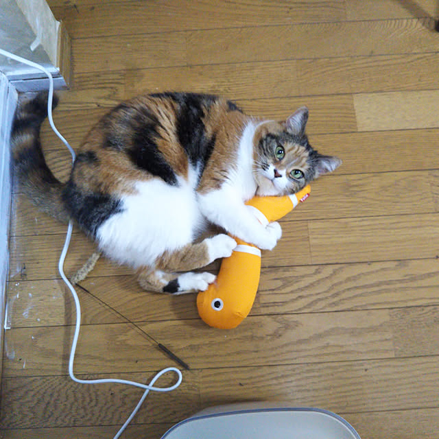 yukieさんの実例写真