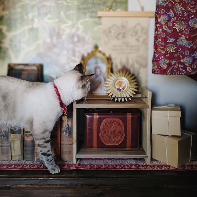 Atelier_tamakiさんの部屋