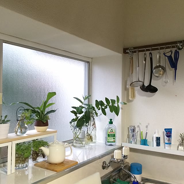 kojiさんの実例写真