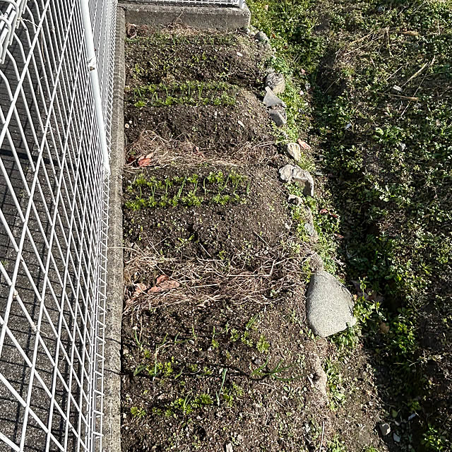 ritsukoさんの部屋