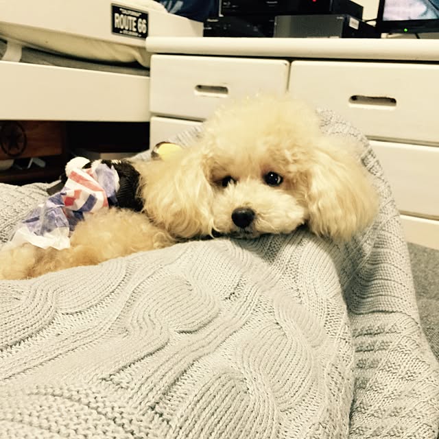 nb28msさんの実例写真