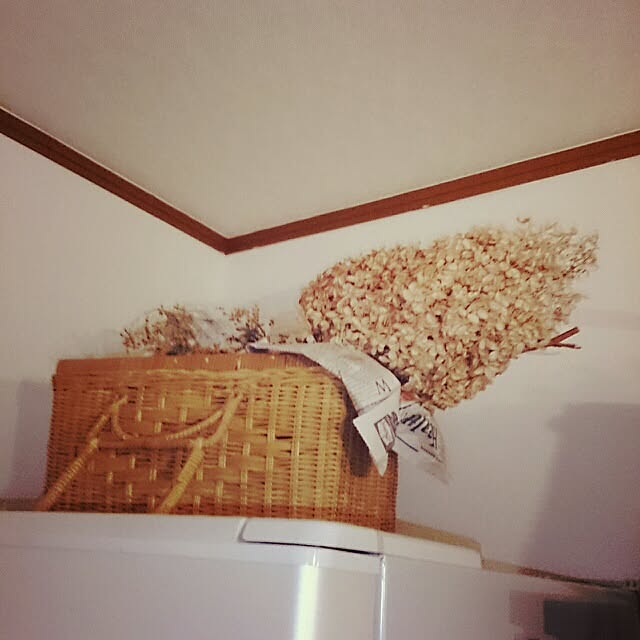 kyotaさんの実例写真