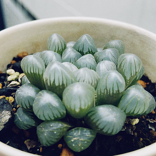 castellan1123さんの部屋