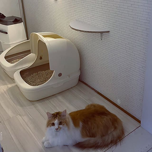 mya___kさんの実例写真