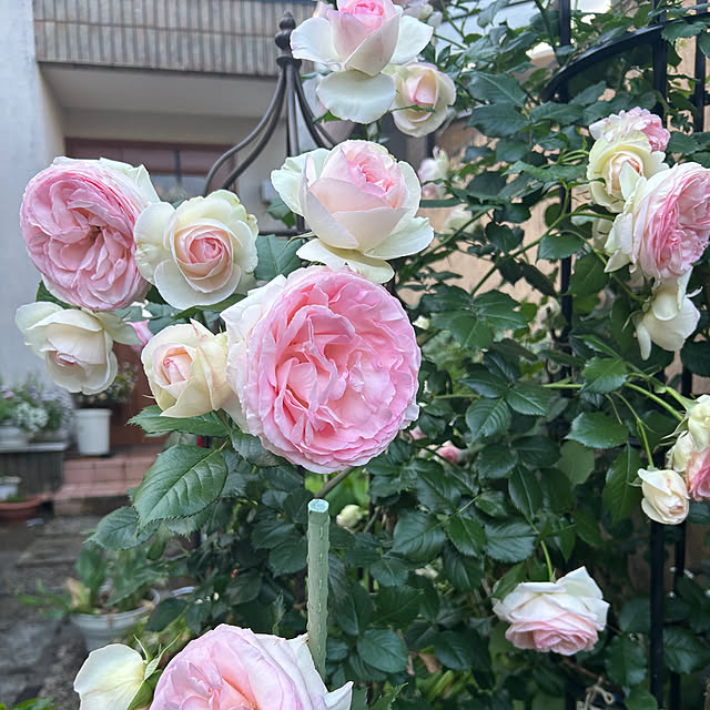fumikoiさんの部屋