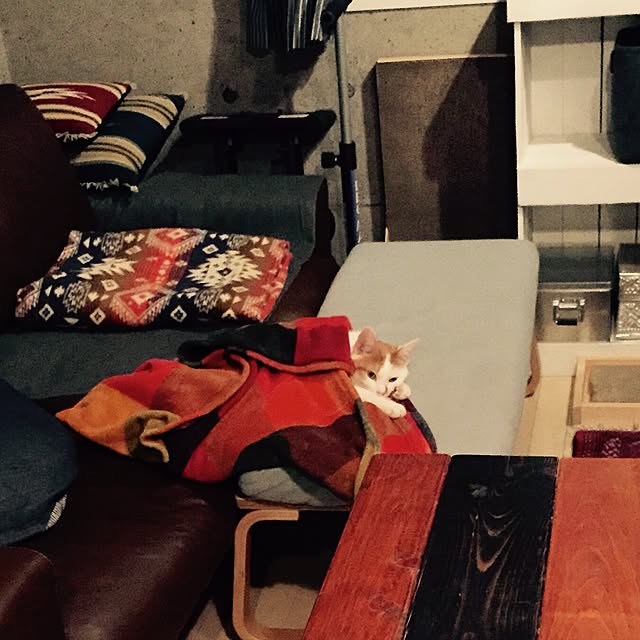 ziziguguさんの実例写真