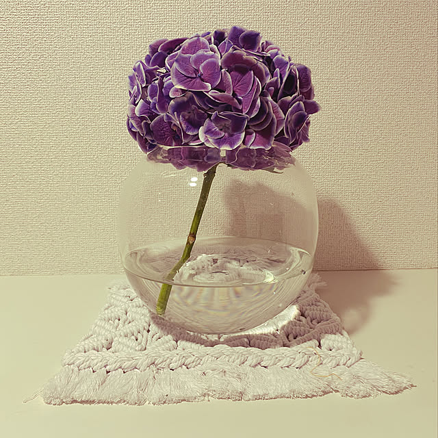 Yukoさんの実例写真